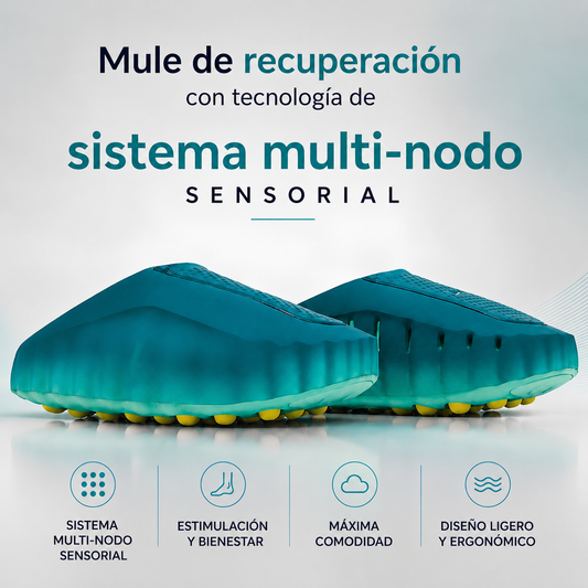 sistema multi-nodo sensorial -50% Descuento - Paga en Casa -Envió Gratis